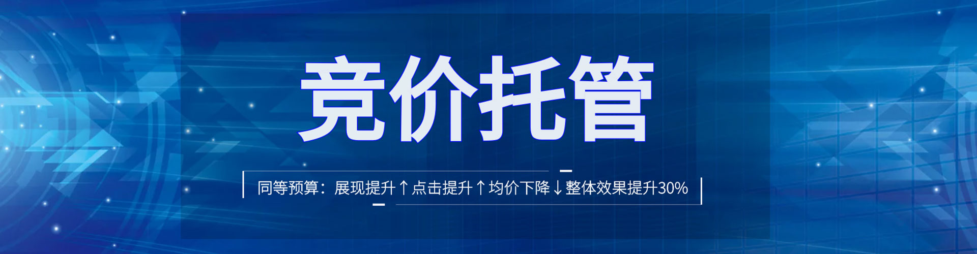 阿莲推广竞价